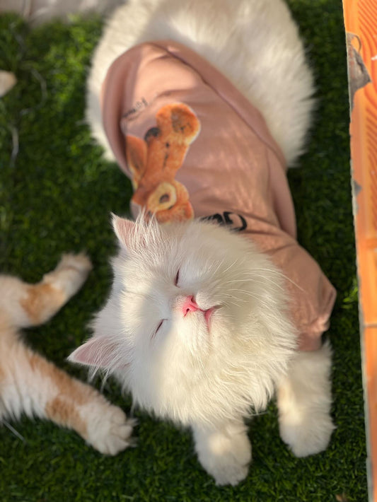 Good day pet sweater π§Έ - Brown