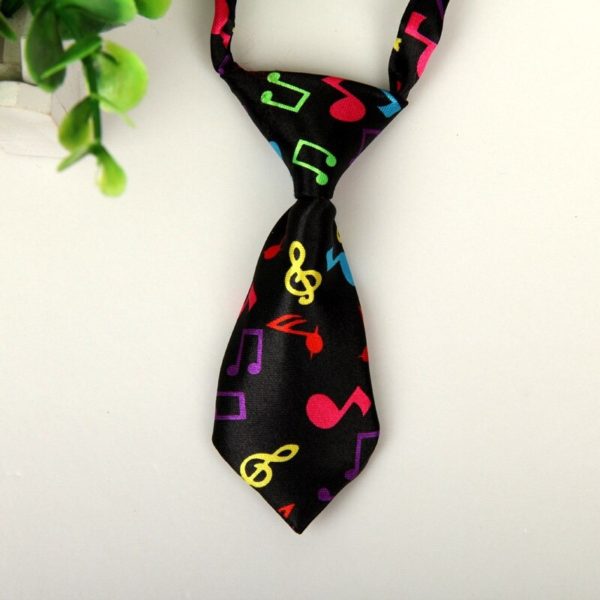 Adjustable pet tie.