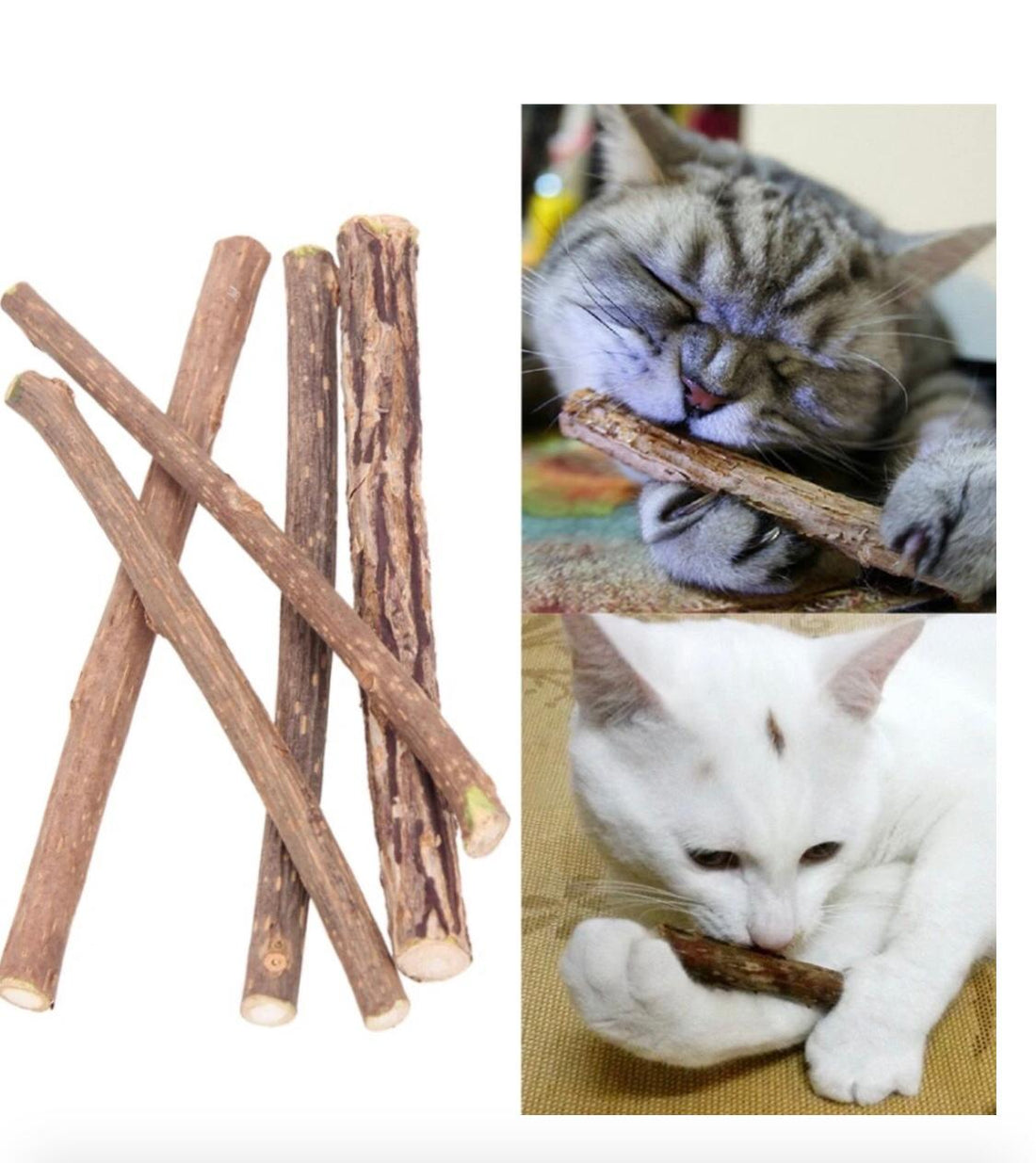 BEST CATNIP TOYS FOR YOUR CAT