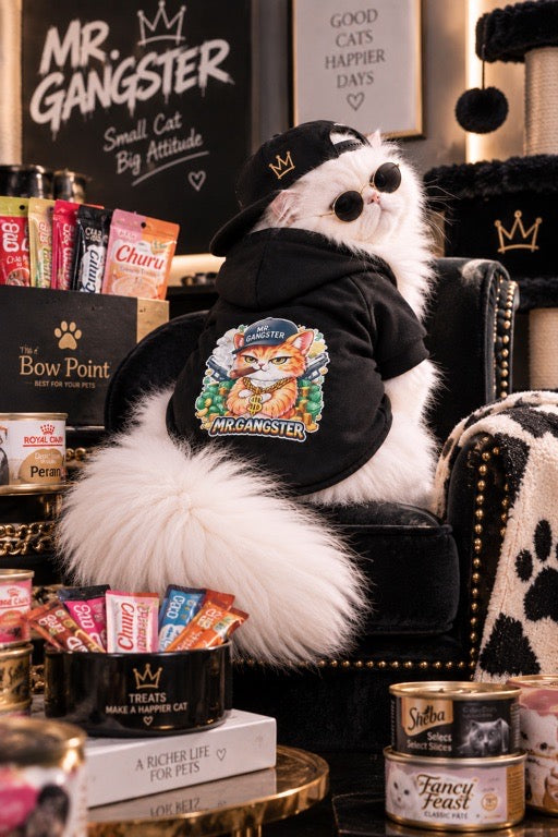 Mr. Gangster Pet Hoodie 😎