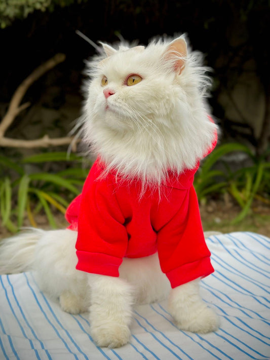 Plain Pet Hoodies - Red ❤️