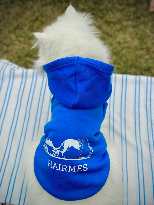 Hairmes pet hoodie  💙