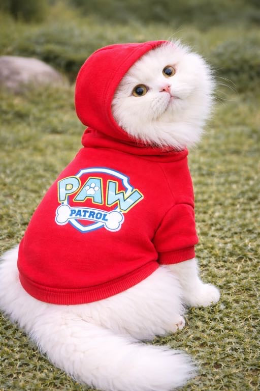 Paw Patrol  Hoodie  🐾