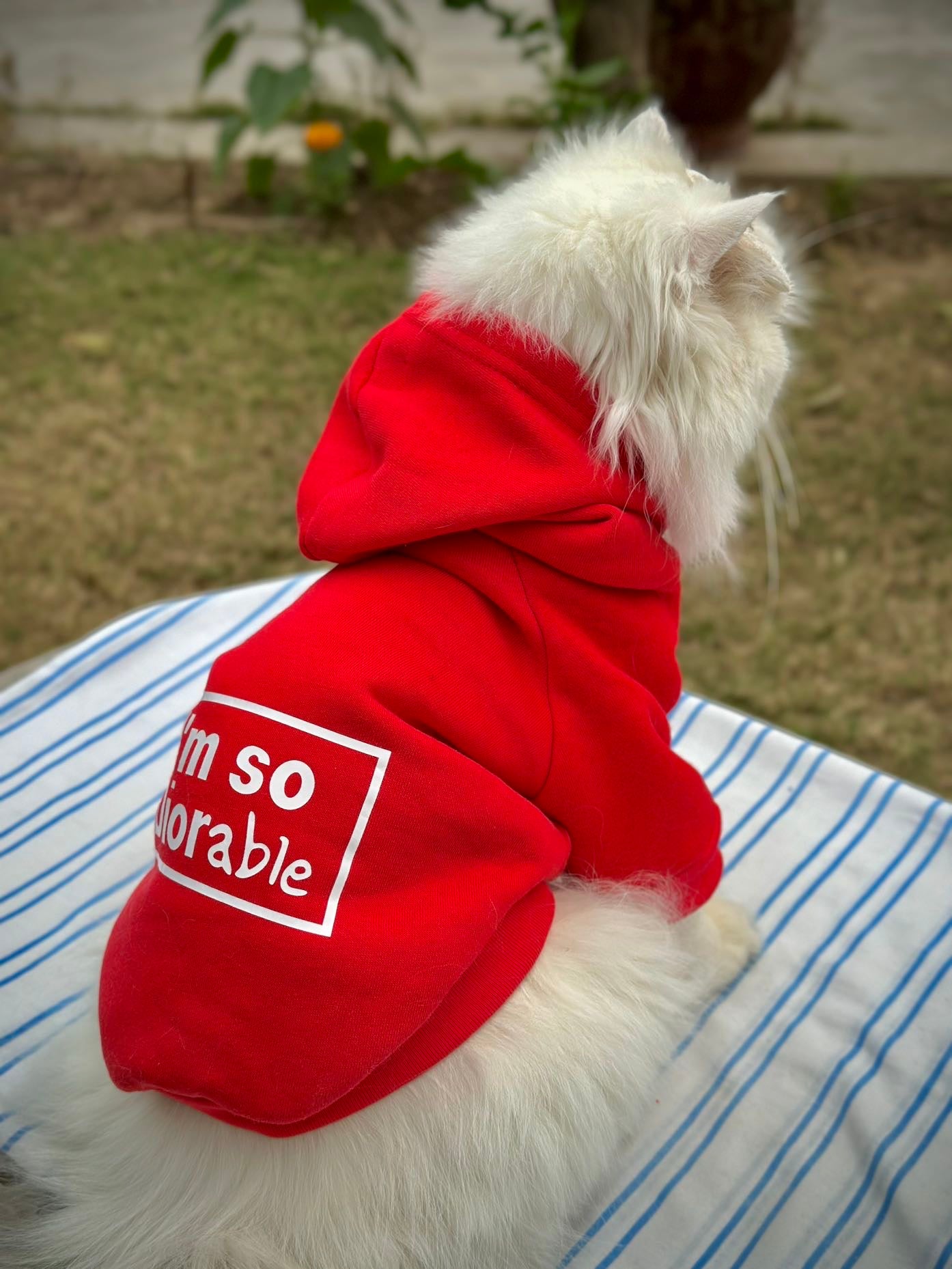 Diorable pet hoodie  Red