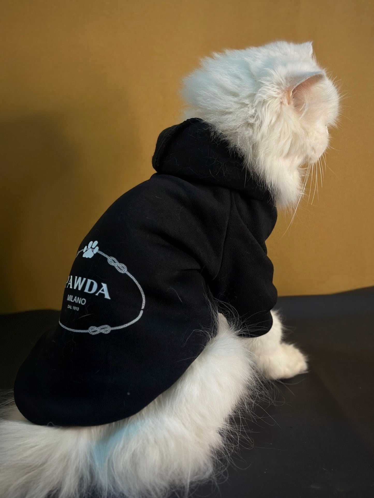 Pawda Milano Pet Hoodie   🖤 Black 🐾