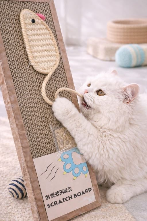 Pet scratcher - with catnip