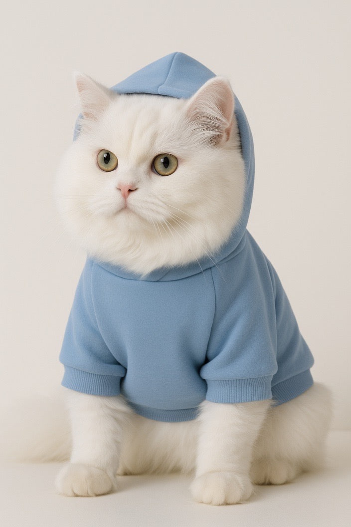 Cookie monster pet hoodie 🍪🩵