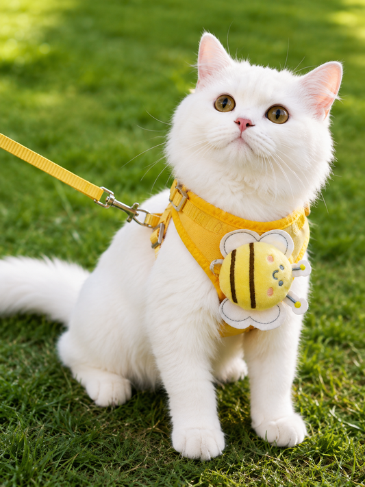 Bumble Bee Cat Harness with Vest🐝