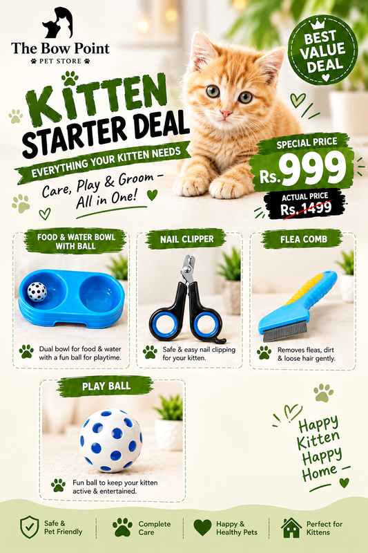 Kitten starter Deal Just 999rs