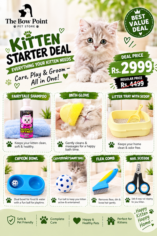 Kitten starter Deal Just 2999rs