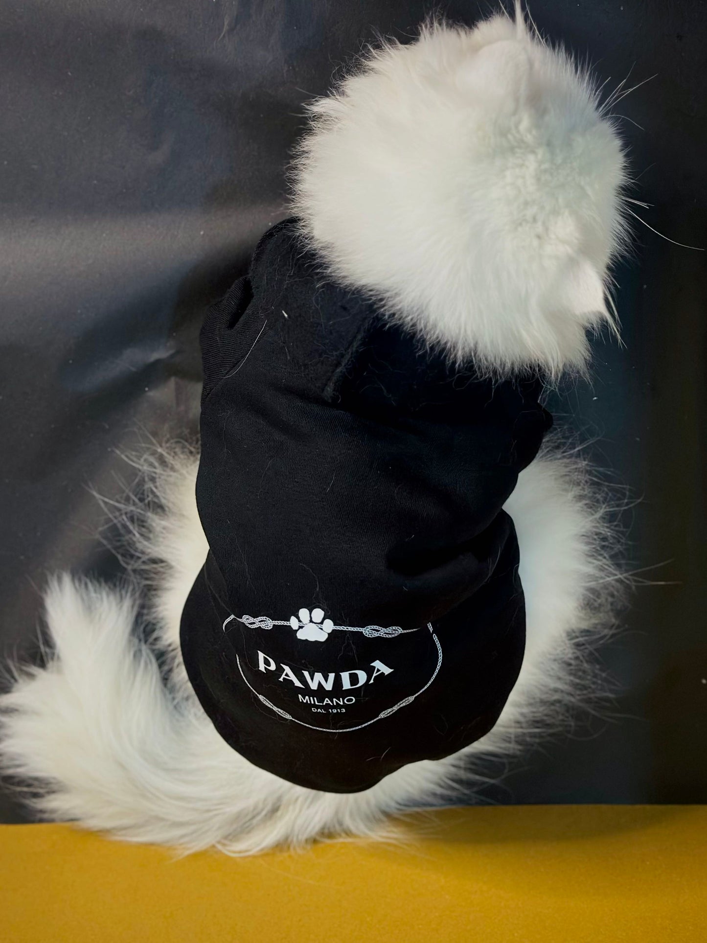 Pawda Milano Pet Hoodie   🖤 Black 🐾