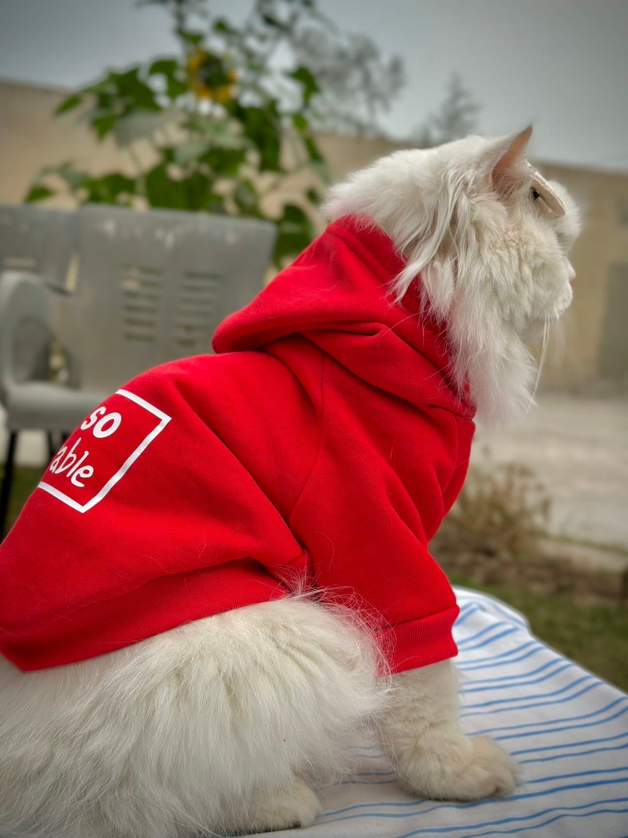 Diorable pet hoodie  Red