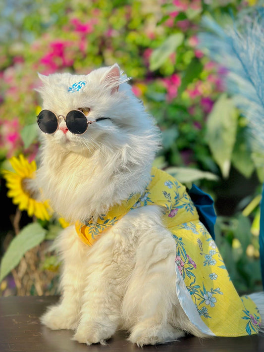 Bloom pet frock 🌼