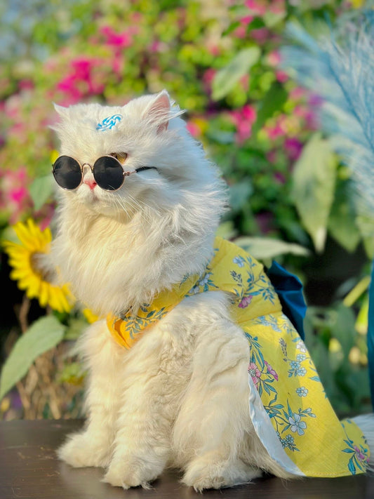 Bloom pet frock 🌼