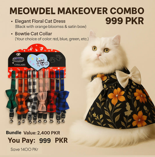 ✨ Meowdel Makeover Combo — 999 PKR