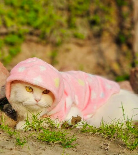 Cloud Pet Hoodie Pink ☁️ 🐾