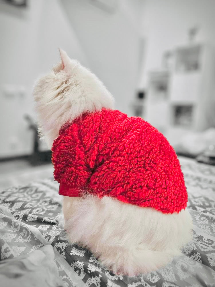 Cozy Pet Sweater -Red  🌺