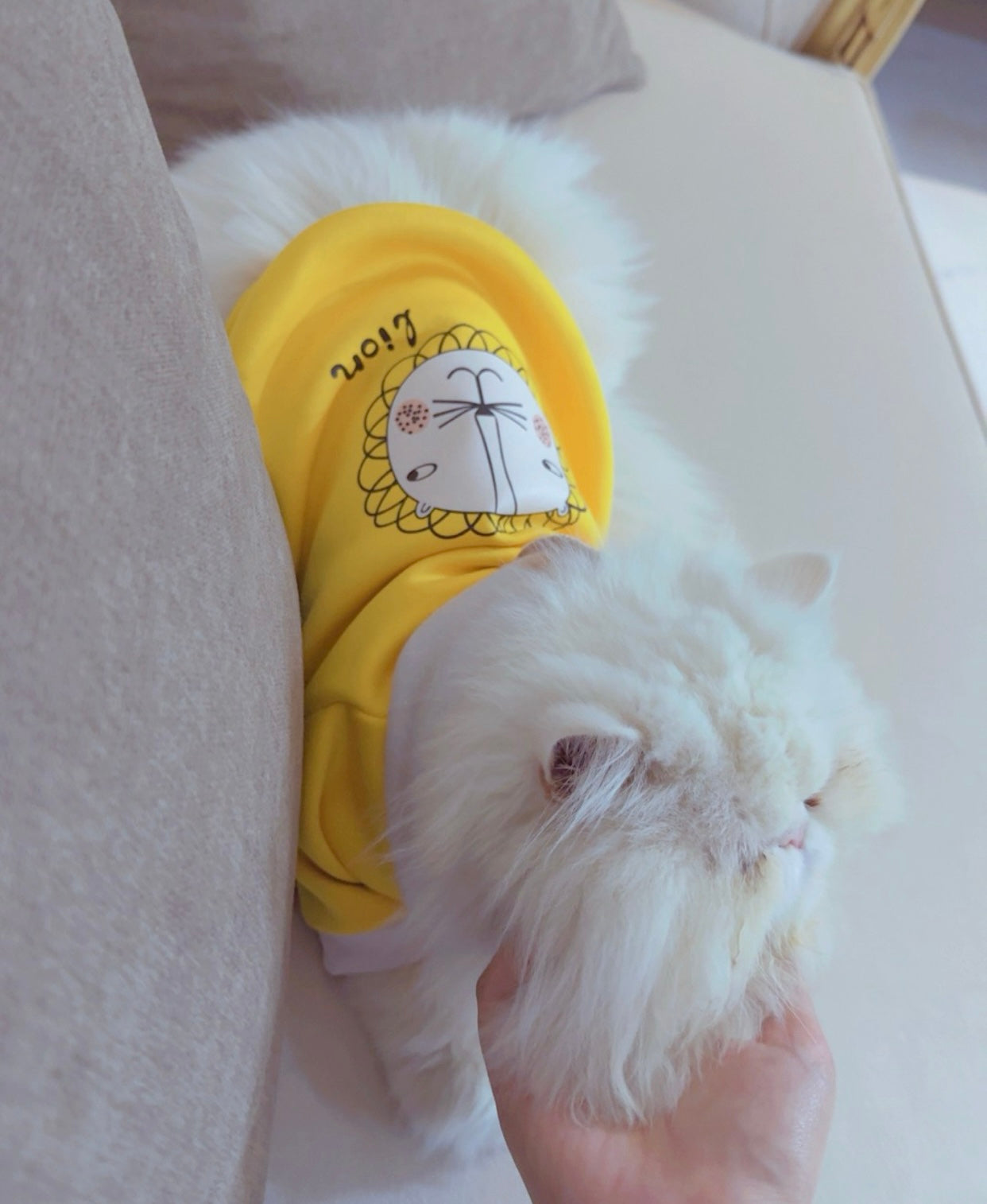 Lion pet hoodie 🦁