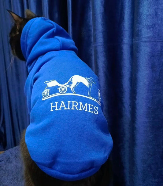 Hairmes pet hoodie  💙