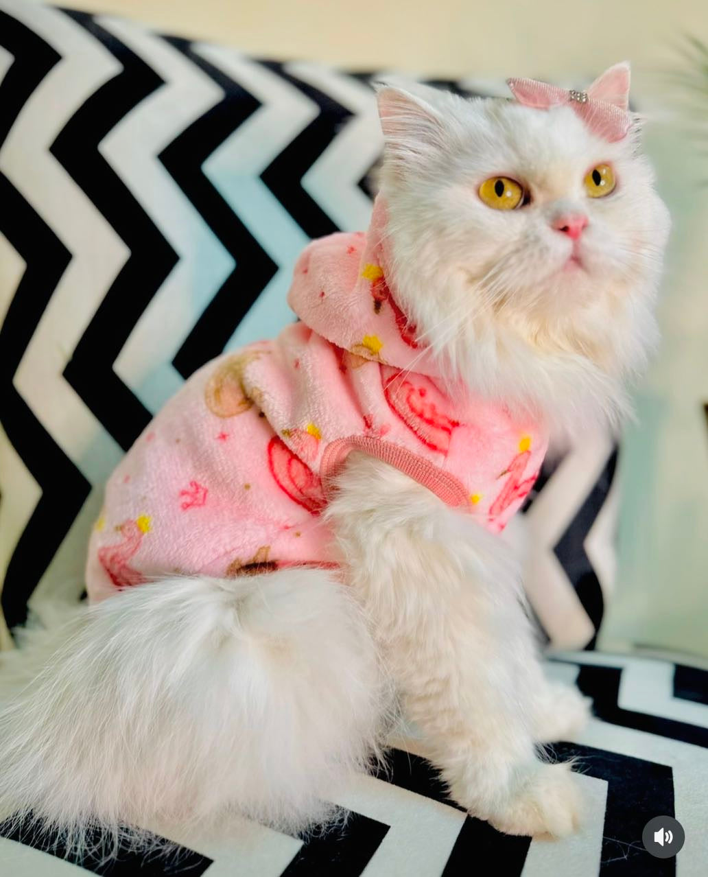 Swans Pet Hoodie - Pink  🦩🦢🩷🩰 |