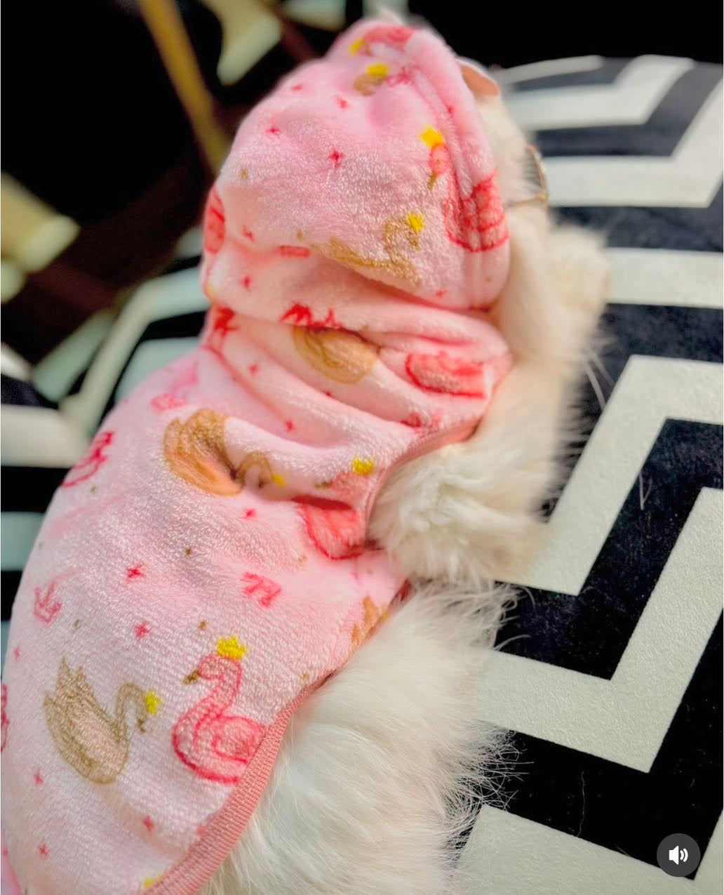 Swans Pet Hoodie - Pink  🦩🦢🩷🩰 |