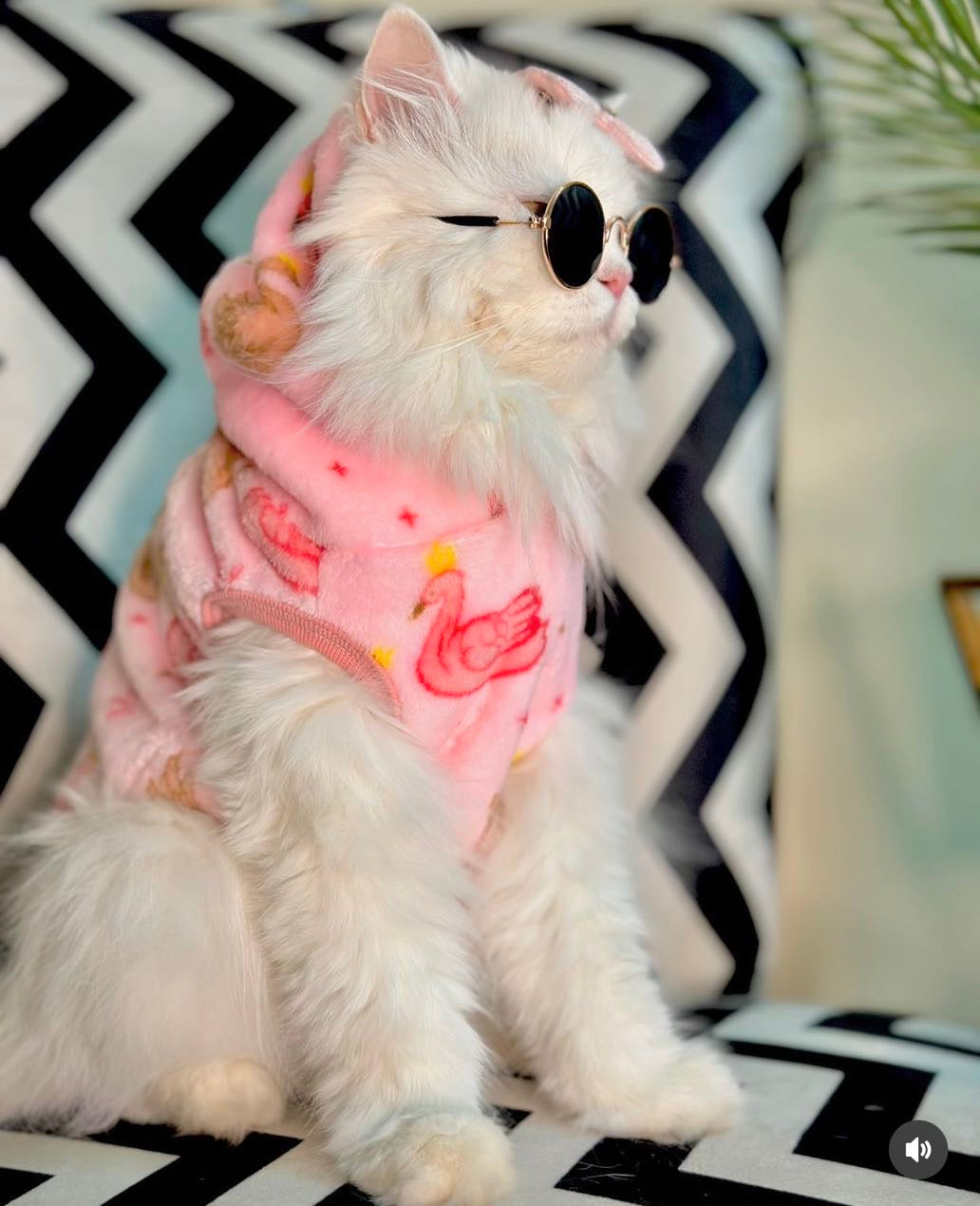 Swans Pet Hoodie - Pink  🦩🦢🩷🩰 |