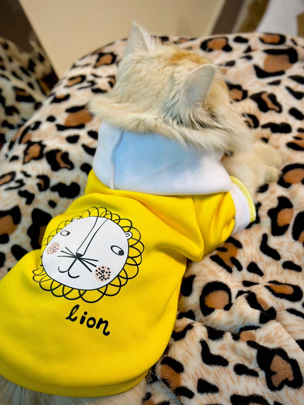 Lion pet hoodie 🦁