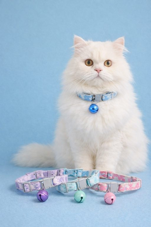 Big bell pet collar