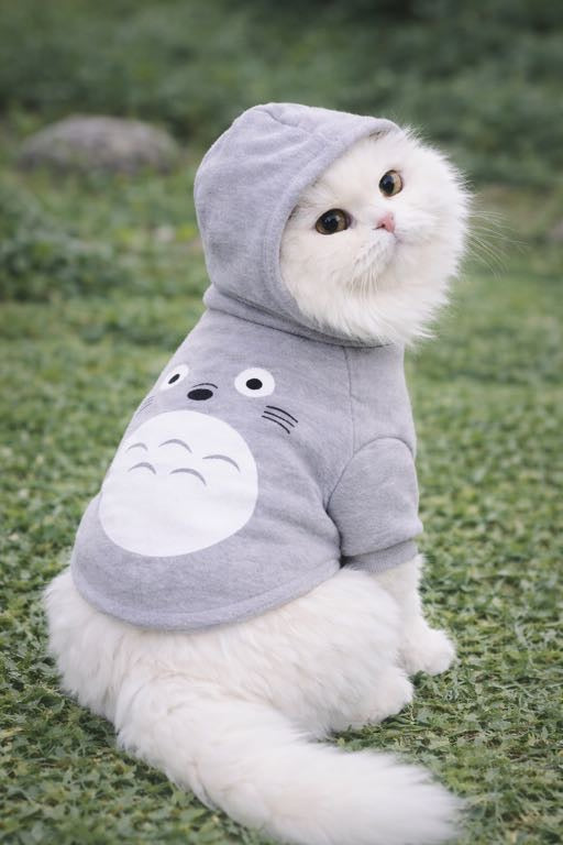 Totorro pet Hoodie🤍