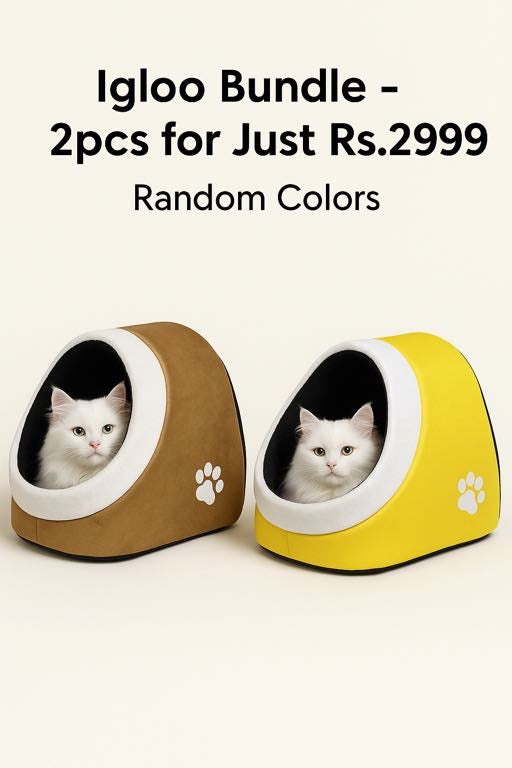 Igloo Bundle - 2pcs for Just 2999Rs -  Get Random Colors