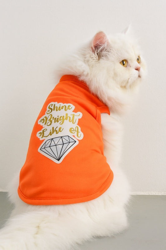 Shine Bright Like A Diamond✨ 💎