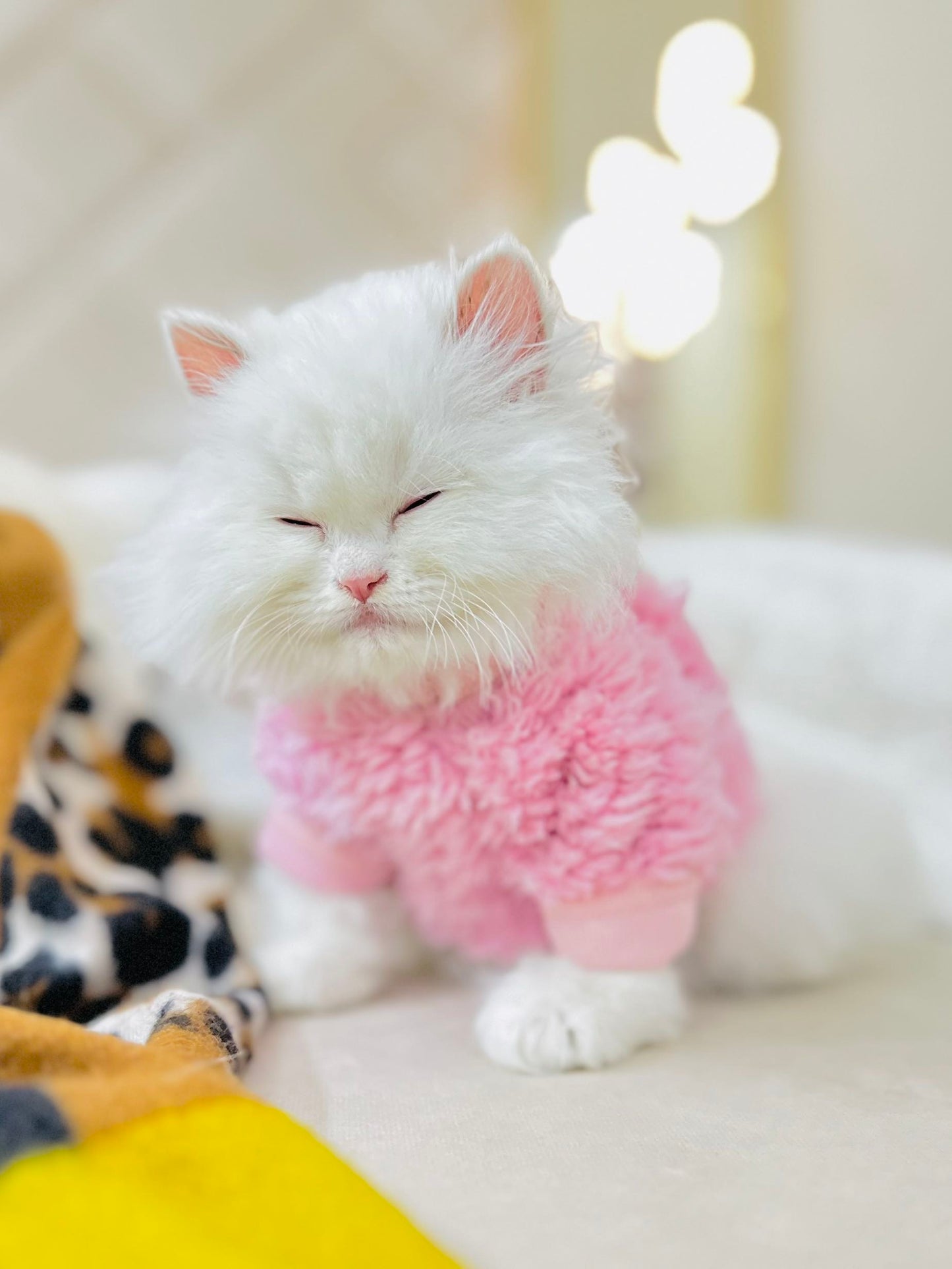 Cozy Pet Sweater -Pink  🌸