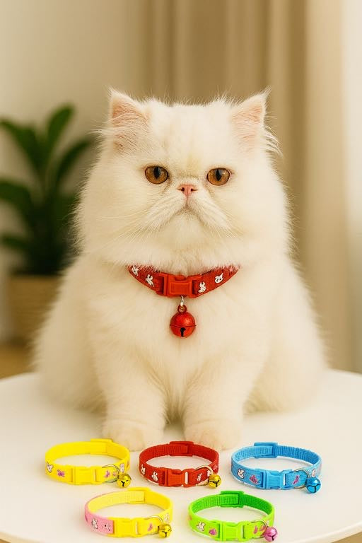 Bunny pet collar 🐰❤️🐰❤️