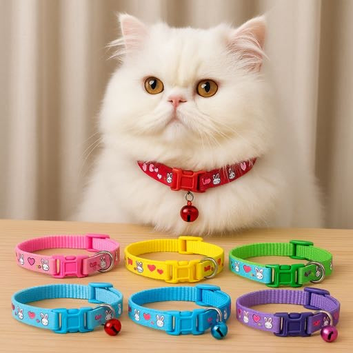 Bunny pet collar 🐰❤️🐰❤️