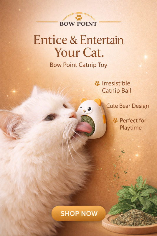 Cute Bear Catnip rotating Toy 🐻🌿