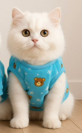 Bear  Pet Sweater -Sky Blue🐻‍❄️