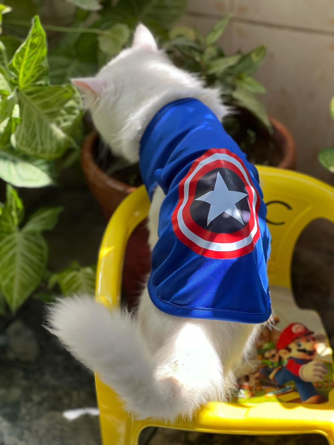 Captain america pet shirt 🔵