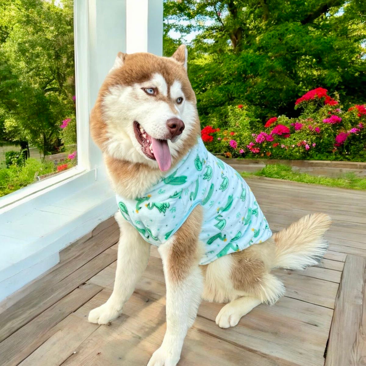 Swans Pet Hoodie Sea green  🦢🩷 🌊