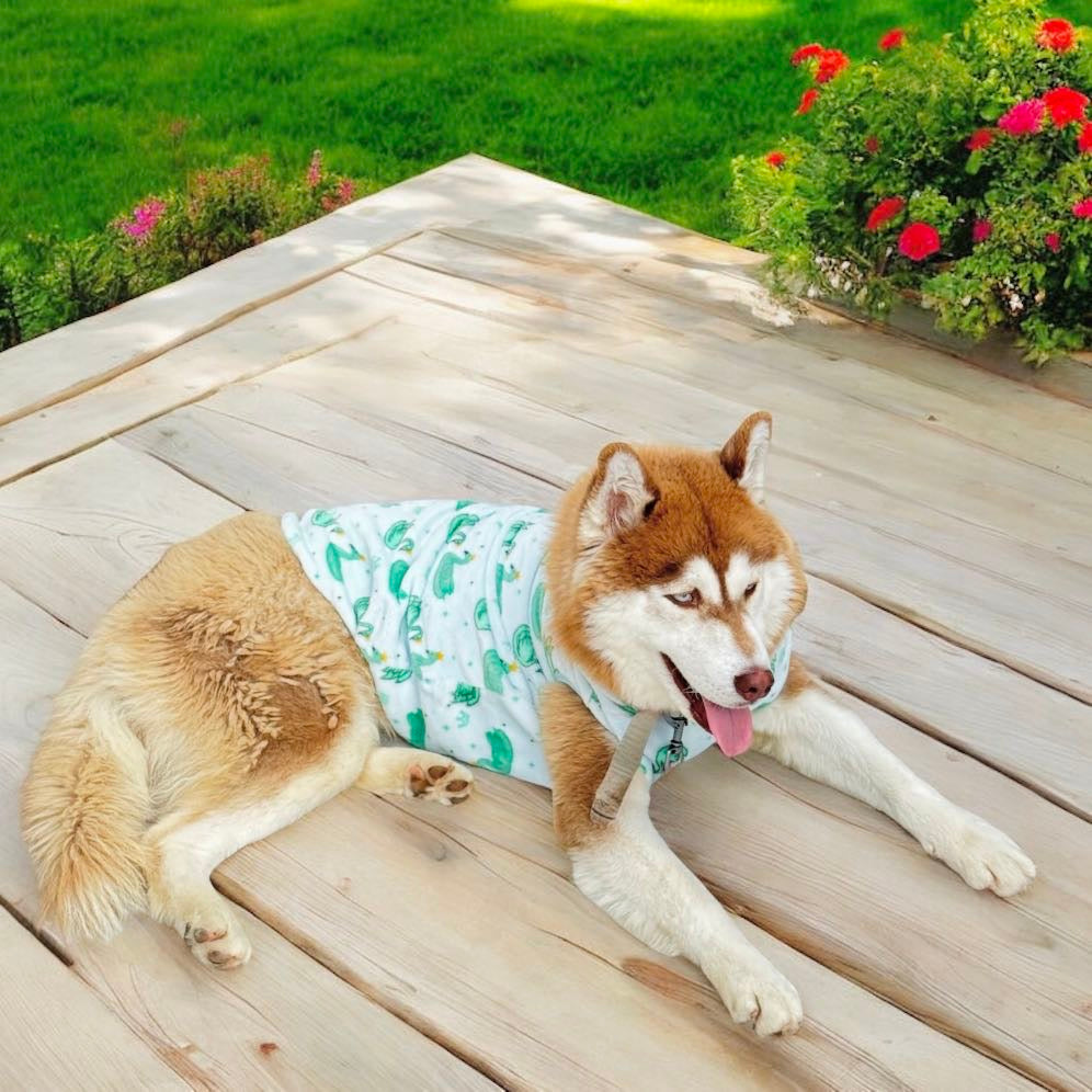 Swans Pet Hoodie Sea green  🦢🩷 🌊