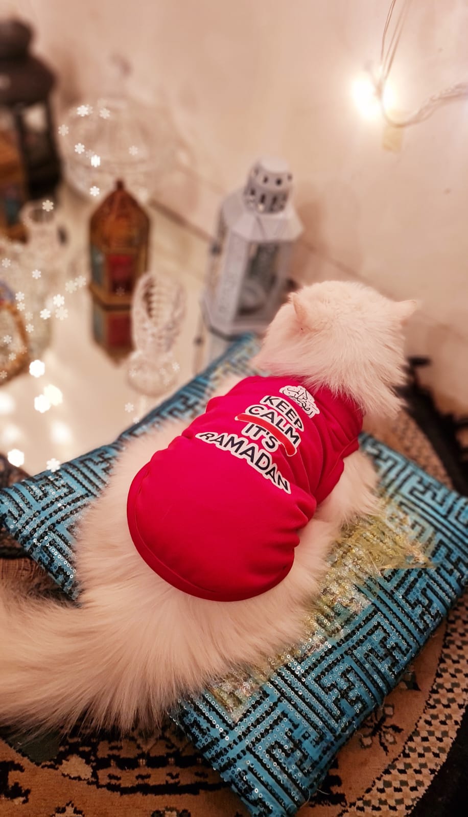 Keep Calm its RAMADAN Pet Shirt ✨🌙