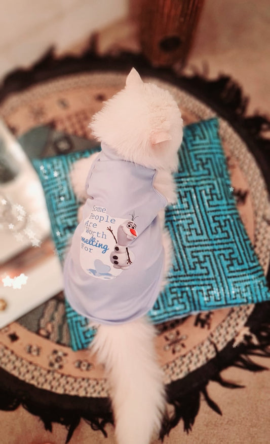 Some people are worth melting for pet shirt 🩵