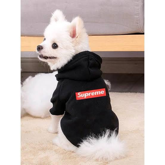 Supreme Pet Hoodie 🖤