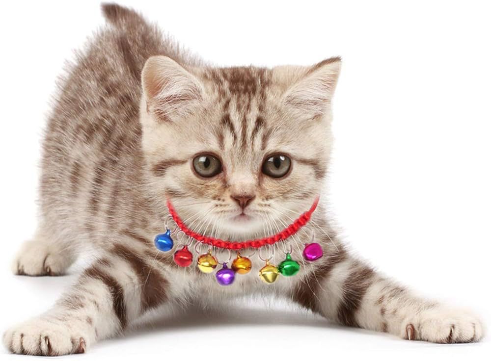 Multicolor cat bells collar