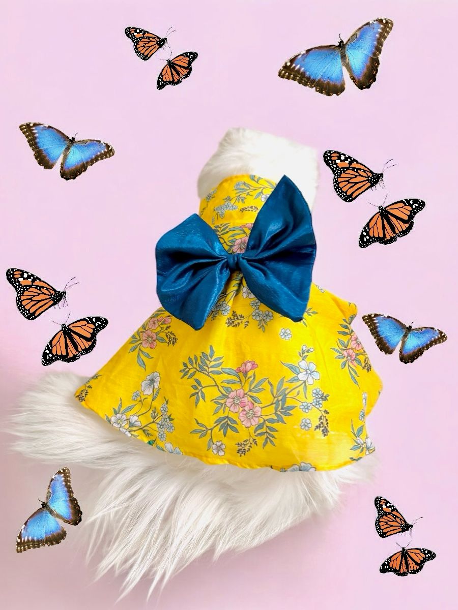 Bloom pet frock 🌼