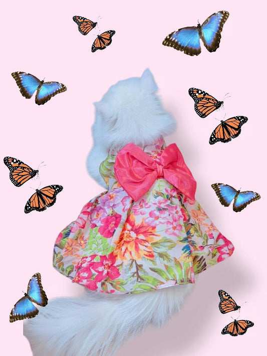 Cherry blossom pet frock 🌸🎀