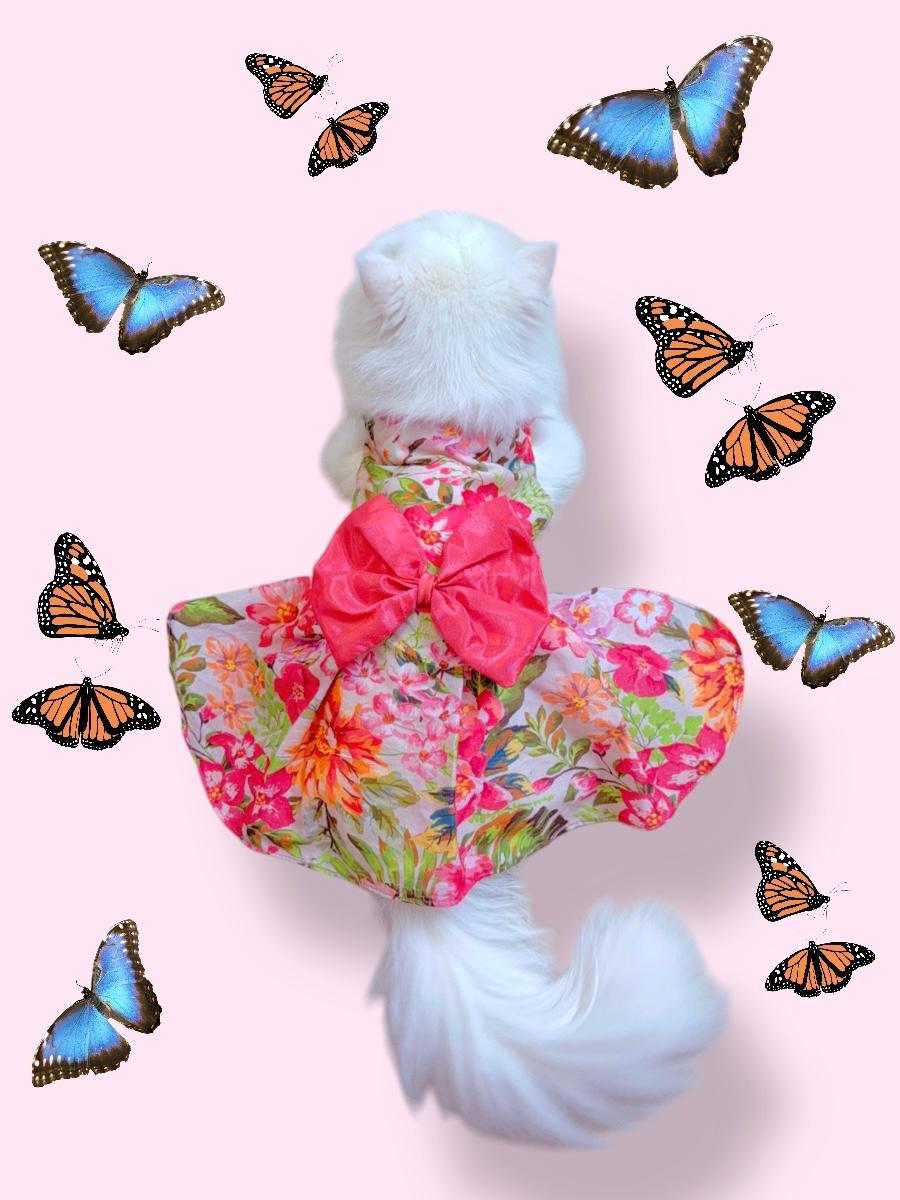 Cherry blossom pet frock 🌸🎀