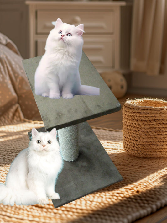 Cat scratching post - Double 🏐