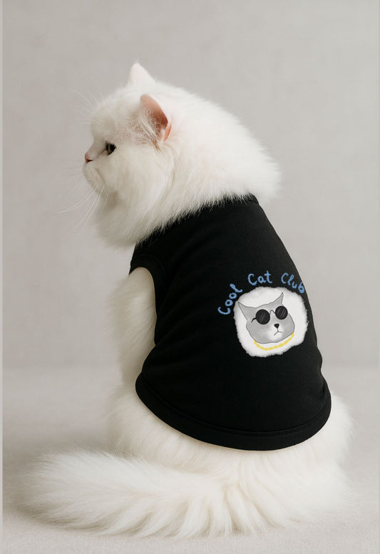 Cool Cat Club 😎