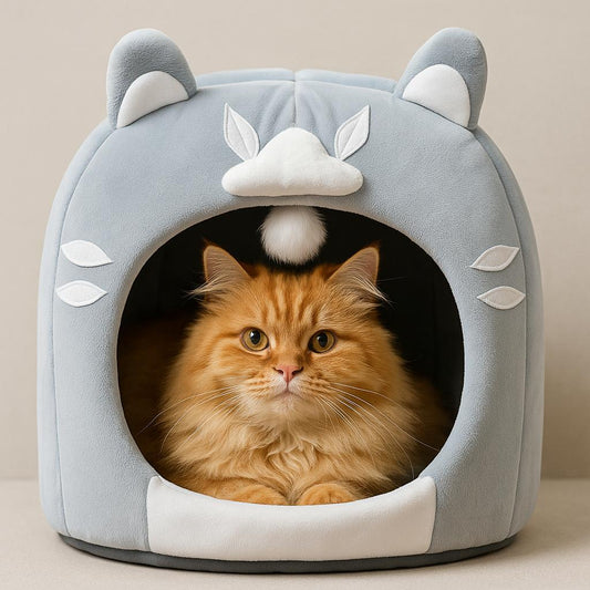 Whisker pet house 😺