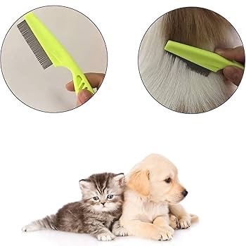 Flea comb 🐾
